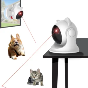 Cat Laser Chase Toy